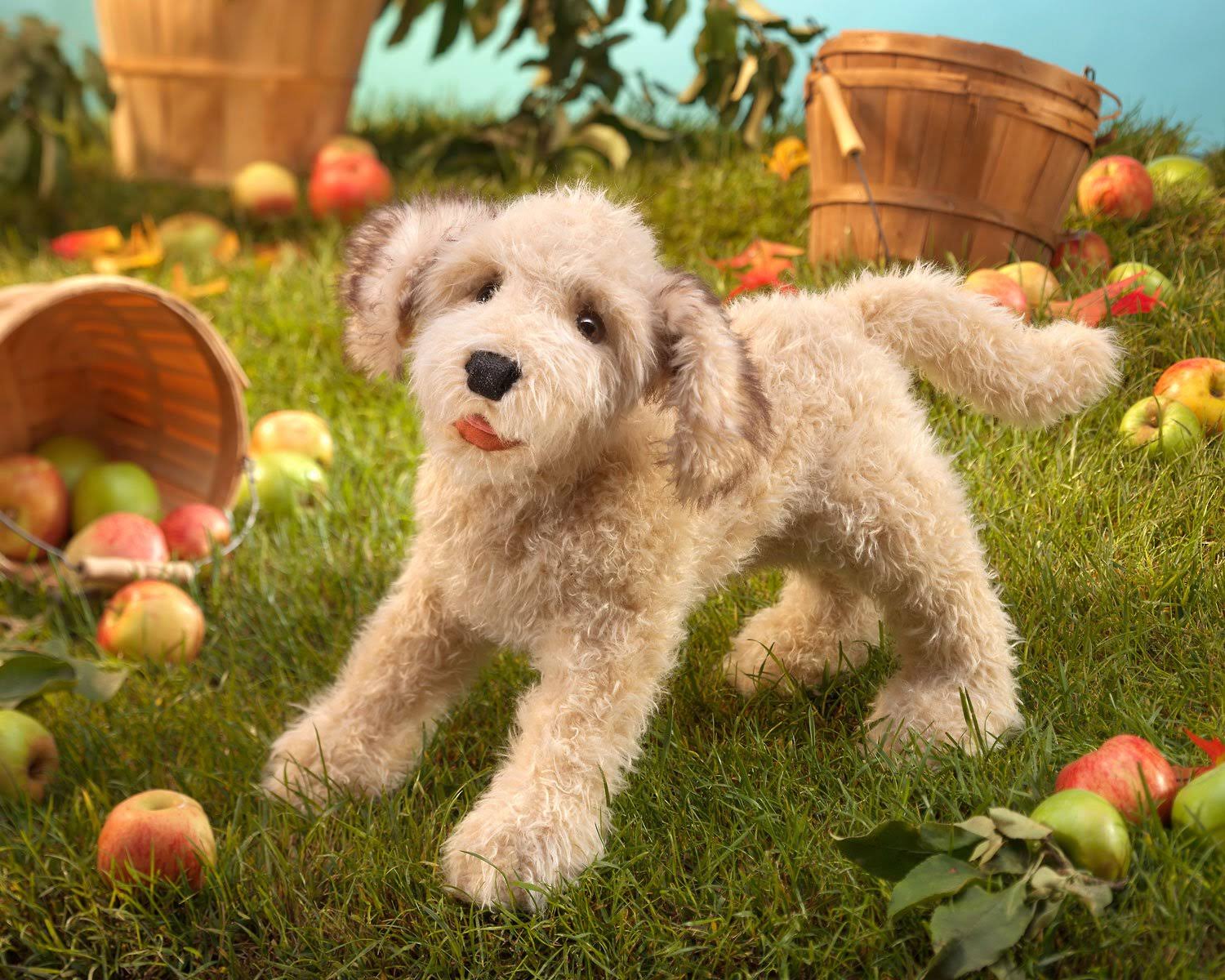 Folkmanis Puppet – Labradoodle - Image 4